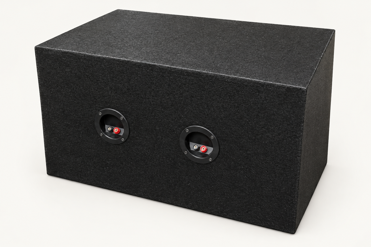 Dual 10-inch enclosure rear-view background cleanup